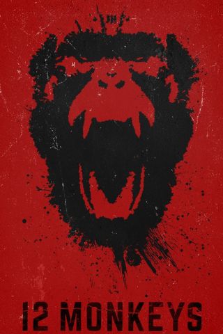 HD Quality Wallpaper | Collection: Movie, 320x480 12 Monkeys