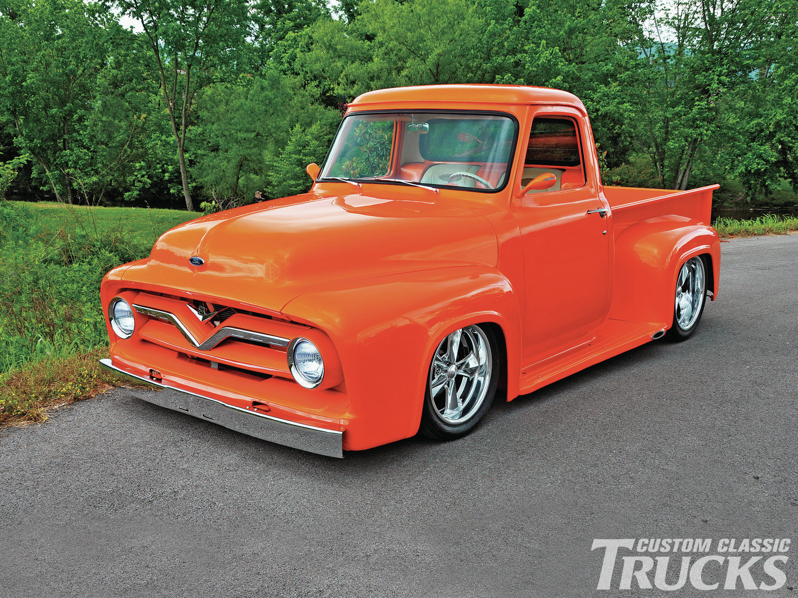 1955 Ford F-100 #2
