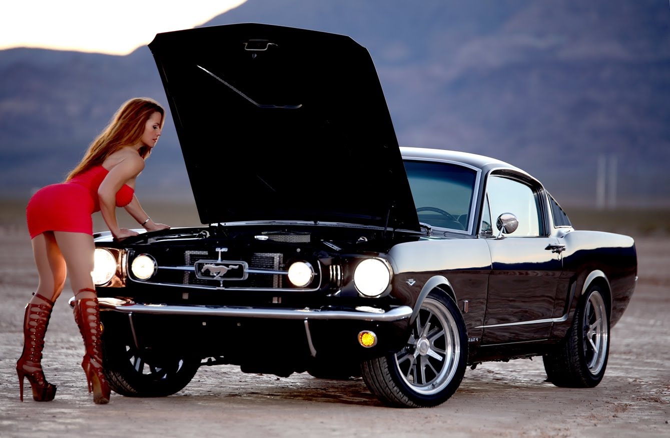 1965 Mustang Fastback #7