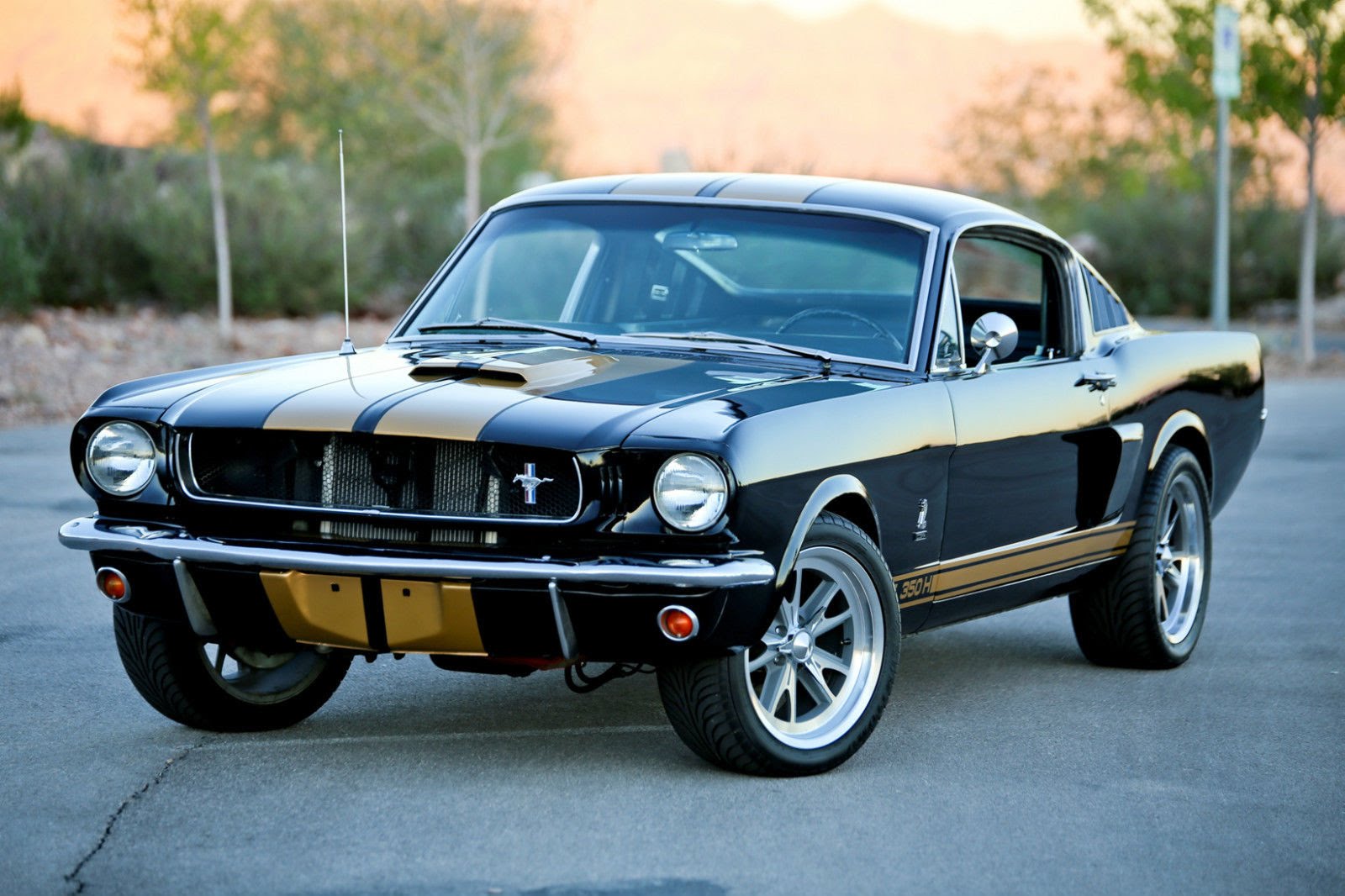 1965 Mustang Fastback #4