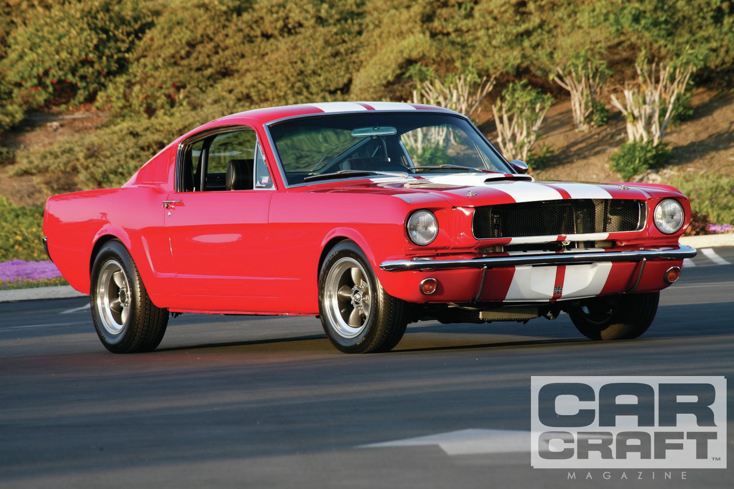 Images of 1965 Mustang Fastback | 1500x1000