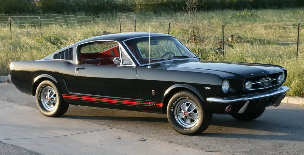 1965 Mustang Fastback #18