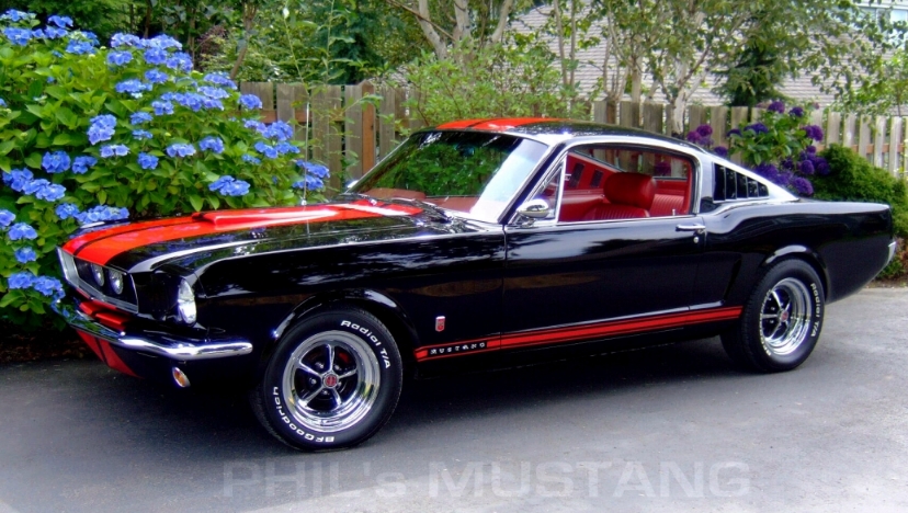 1965 Mustang Fastback Backgrounds, Compatible - PC, Mobile, Gadgets| 828x468 px