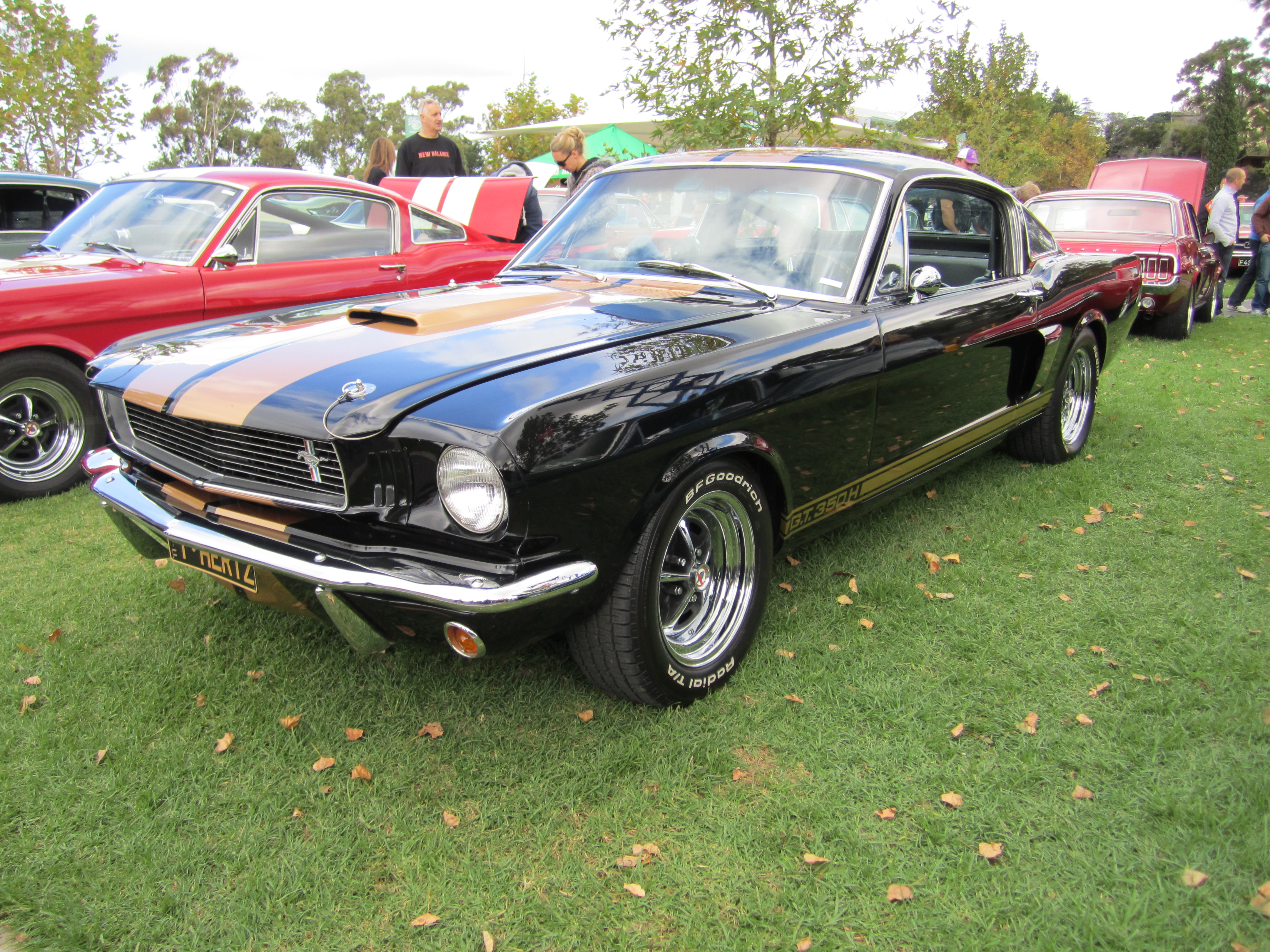 1966 Ford Mustang Gt 350 H #16