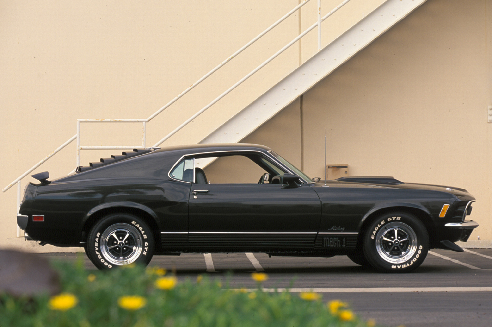 Nice wallpapers 1966 Ford Mustang Mach 1 2048x1360px