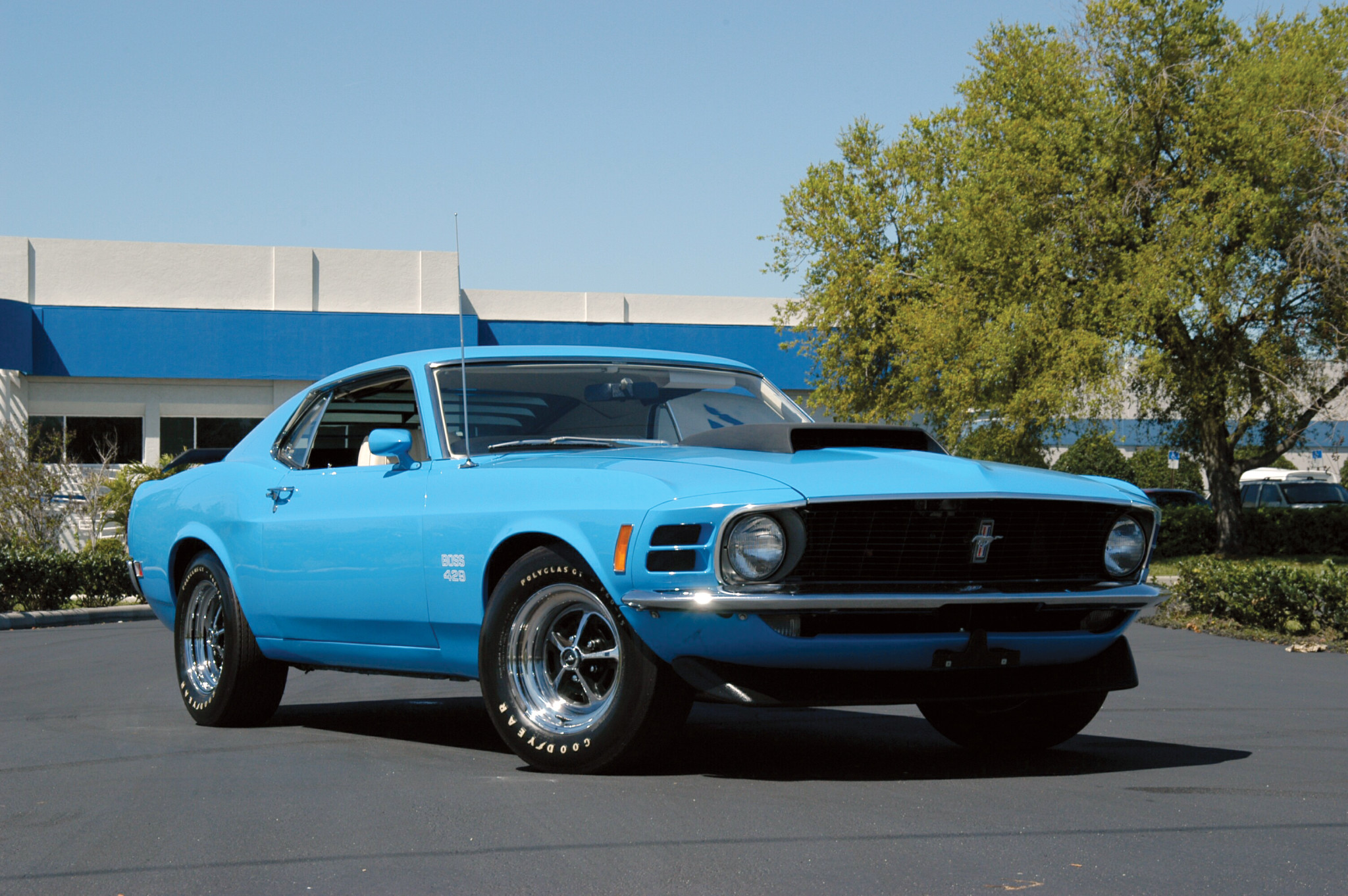 1970 Mustang #10
