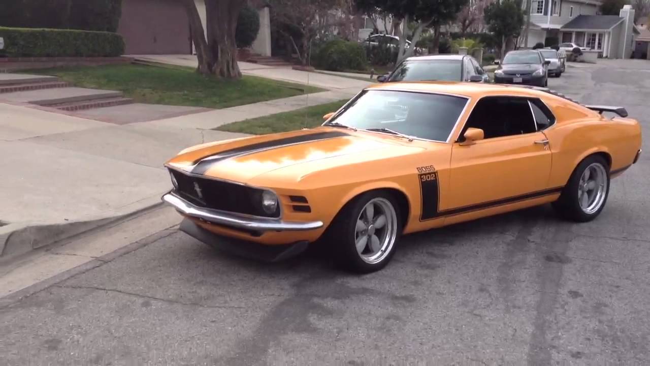 1970 Mustang #19