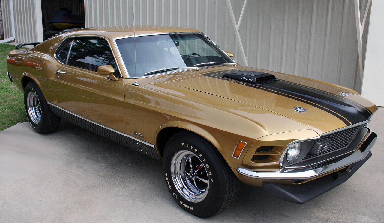 1970 Mustang #23