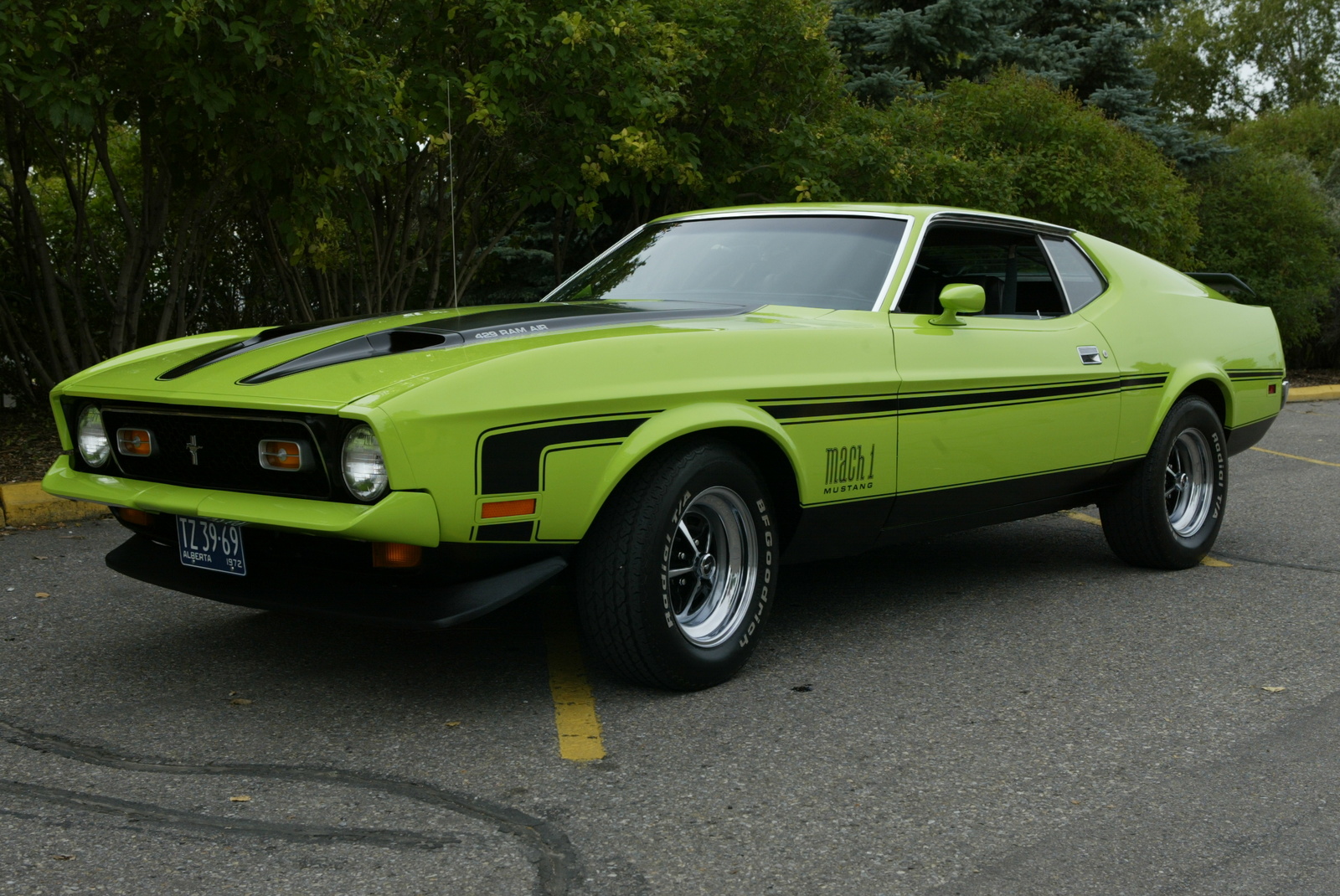 Nice Images Collection: Ford Mustang Mach 1 Desktop Wallpapers