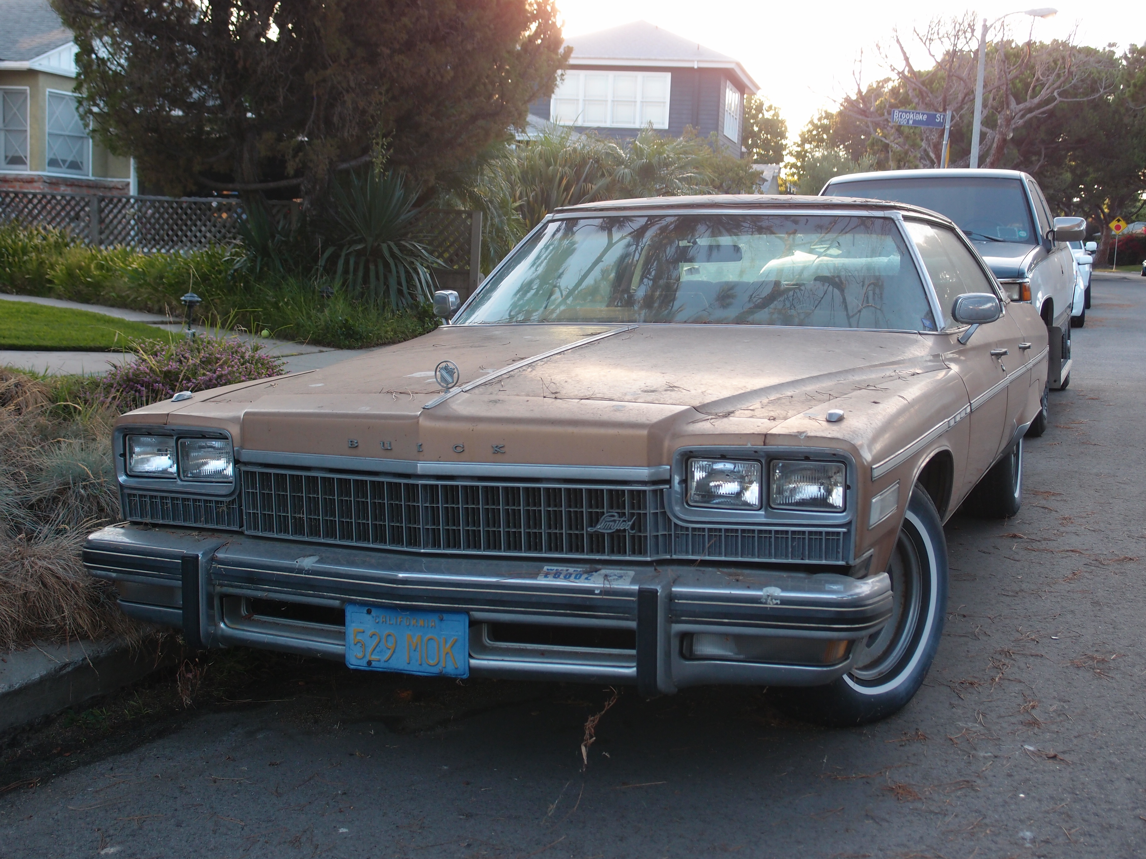1975 Buick Electra #16