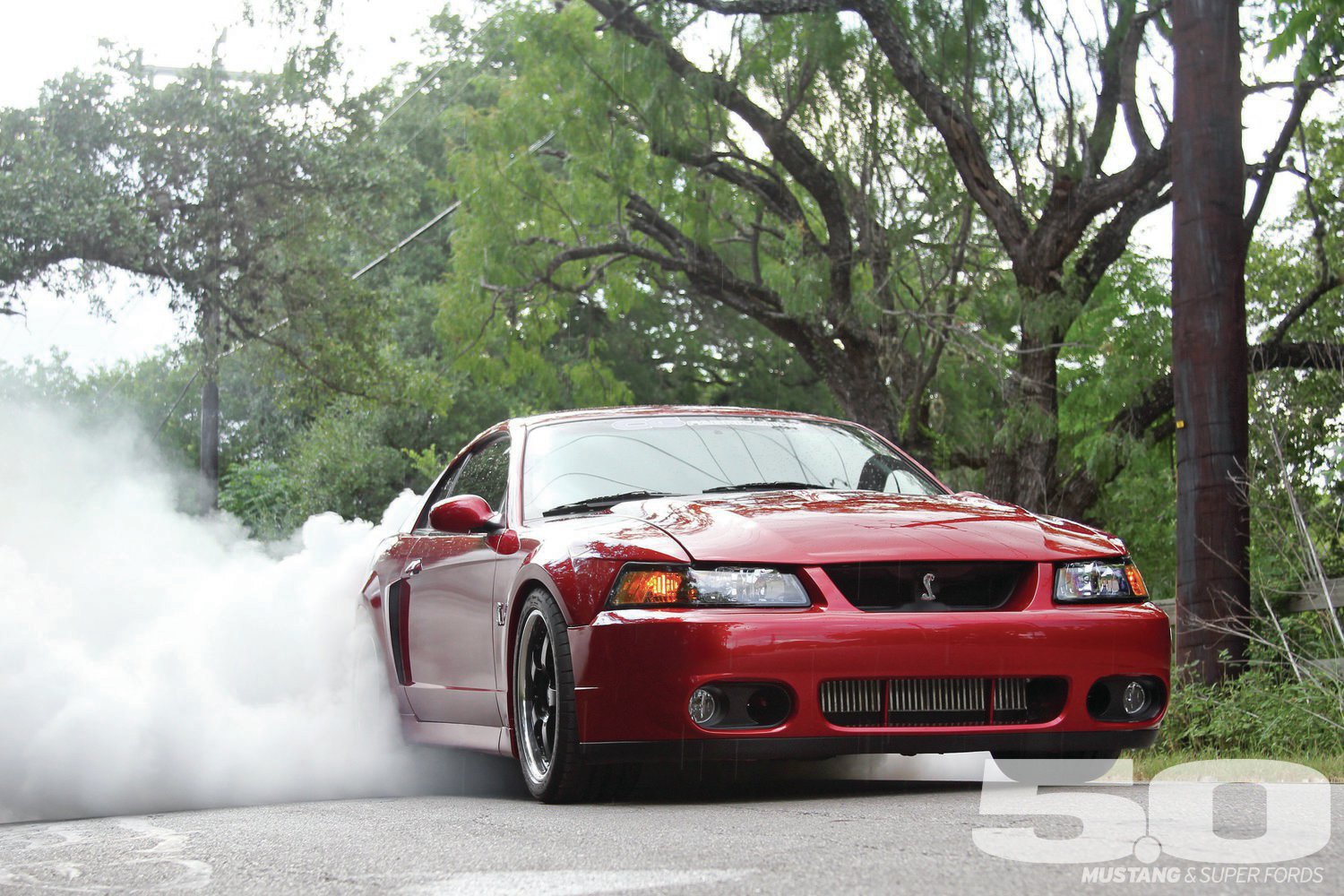 2003 Ford Mustang Cobra HD wallpapers, Desktop wallpaper - most viewed