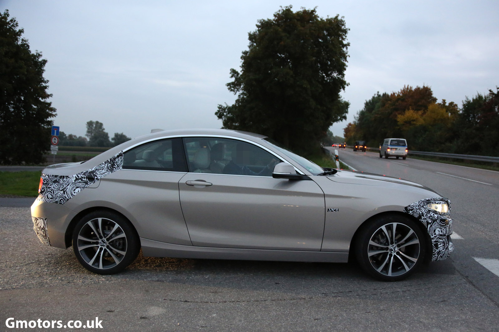 2014 BMW 2 Series Coupe #10