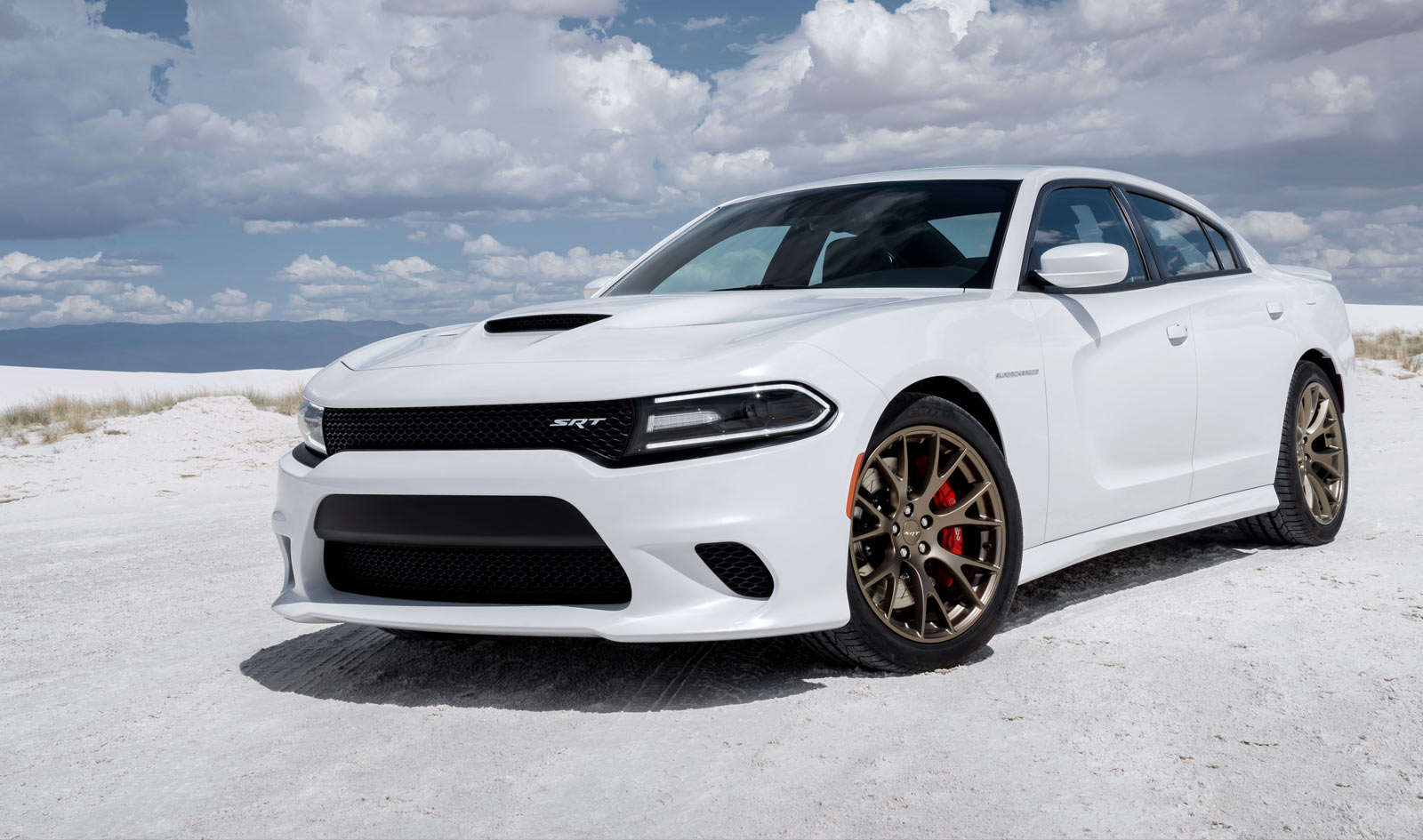 2015 Dodge Charger #16