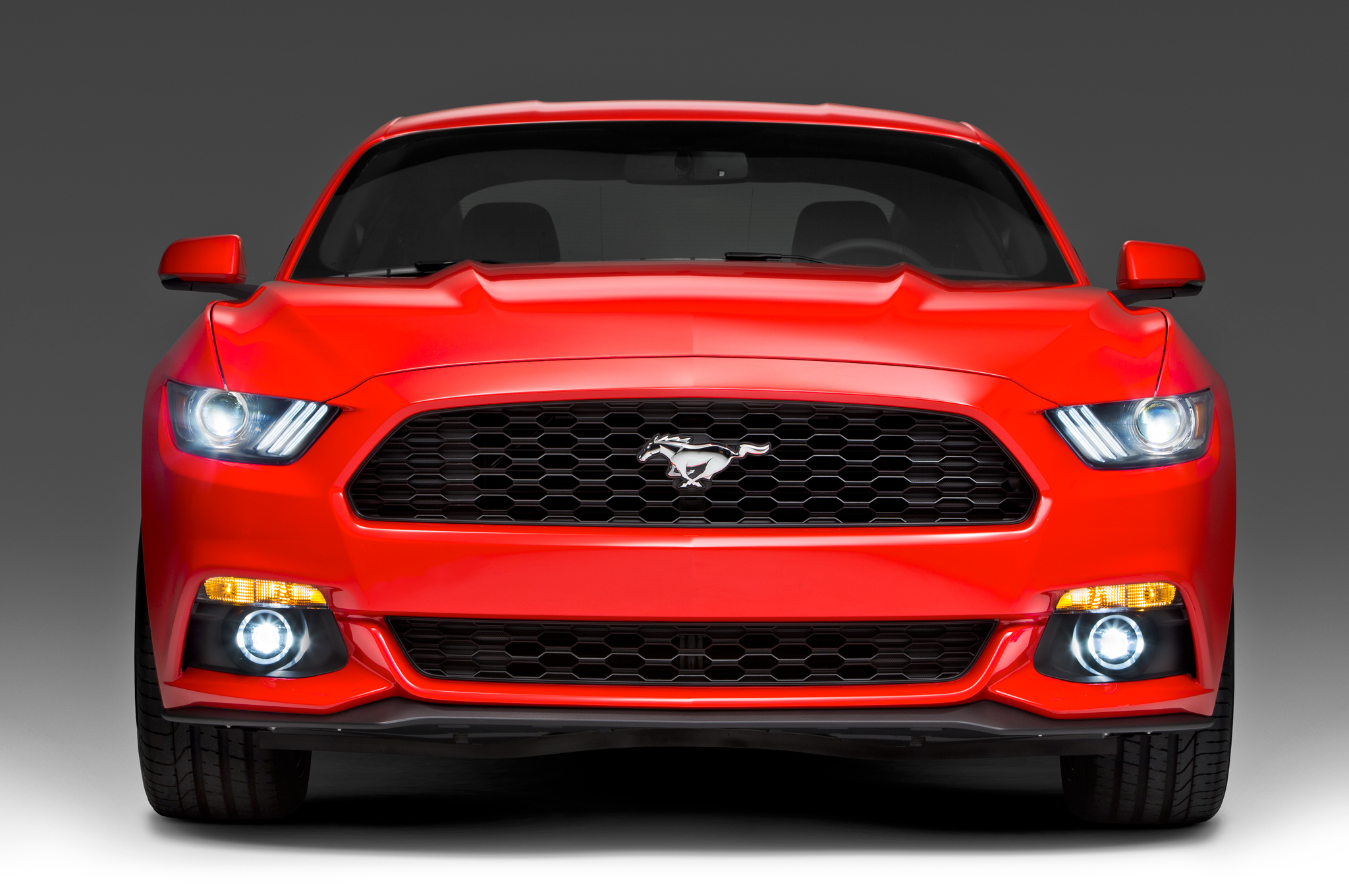 2015 Ford Mustang #14