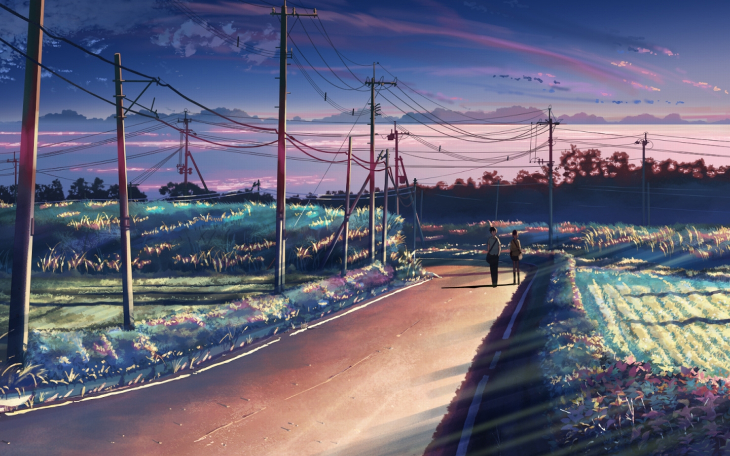 High Resolution Wallpaper | 5 Centimeters Per Second 1440x900 px