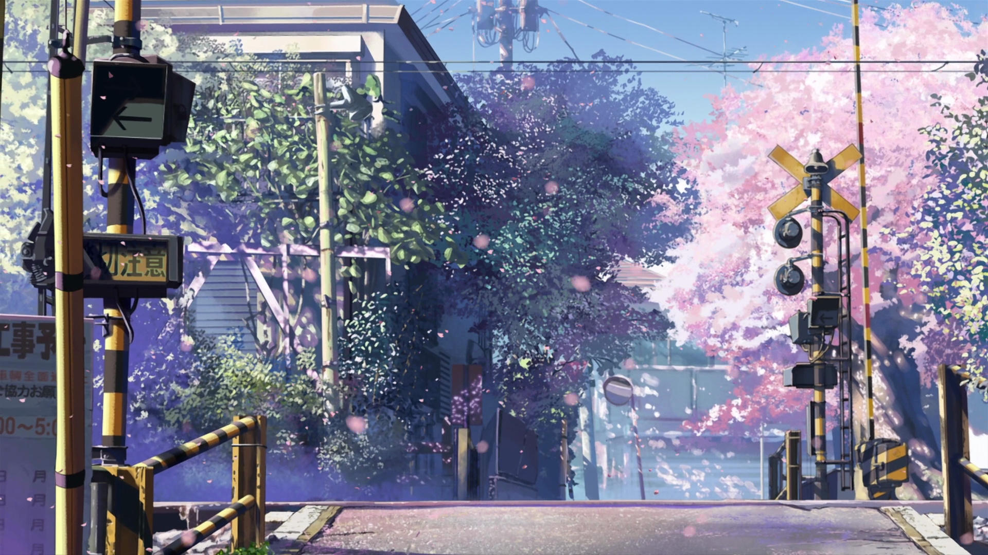 Amazing 5 Centimeters Per Second Pictures & Backgrounds