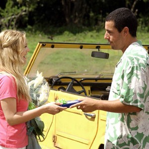 Images of 50 First Dates | 300x300