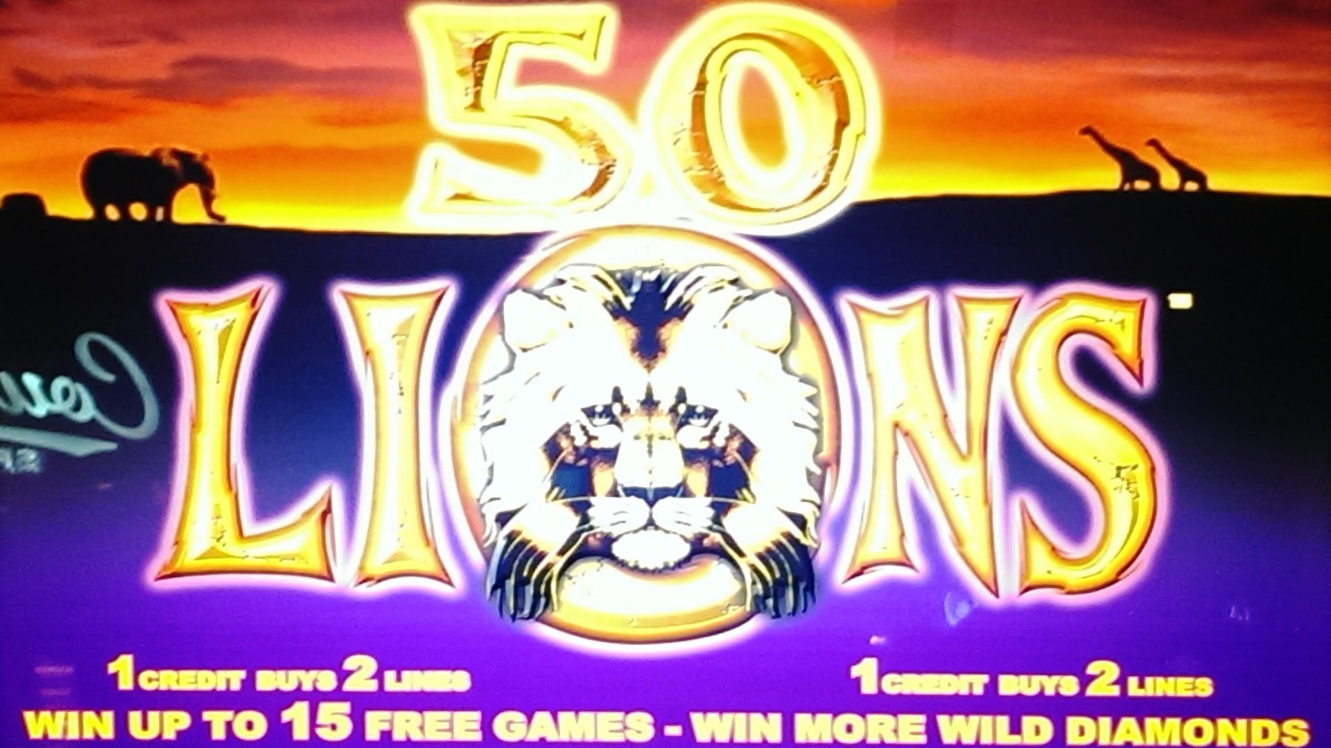 50 Lions #3