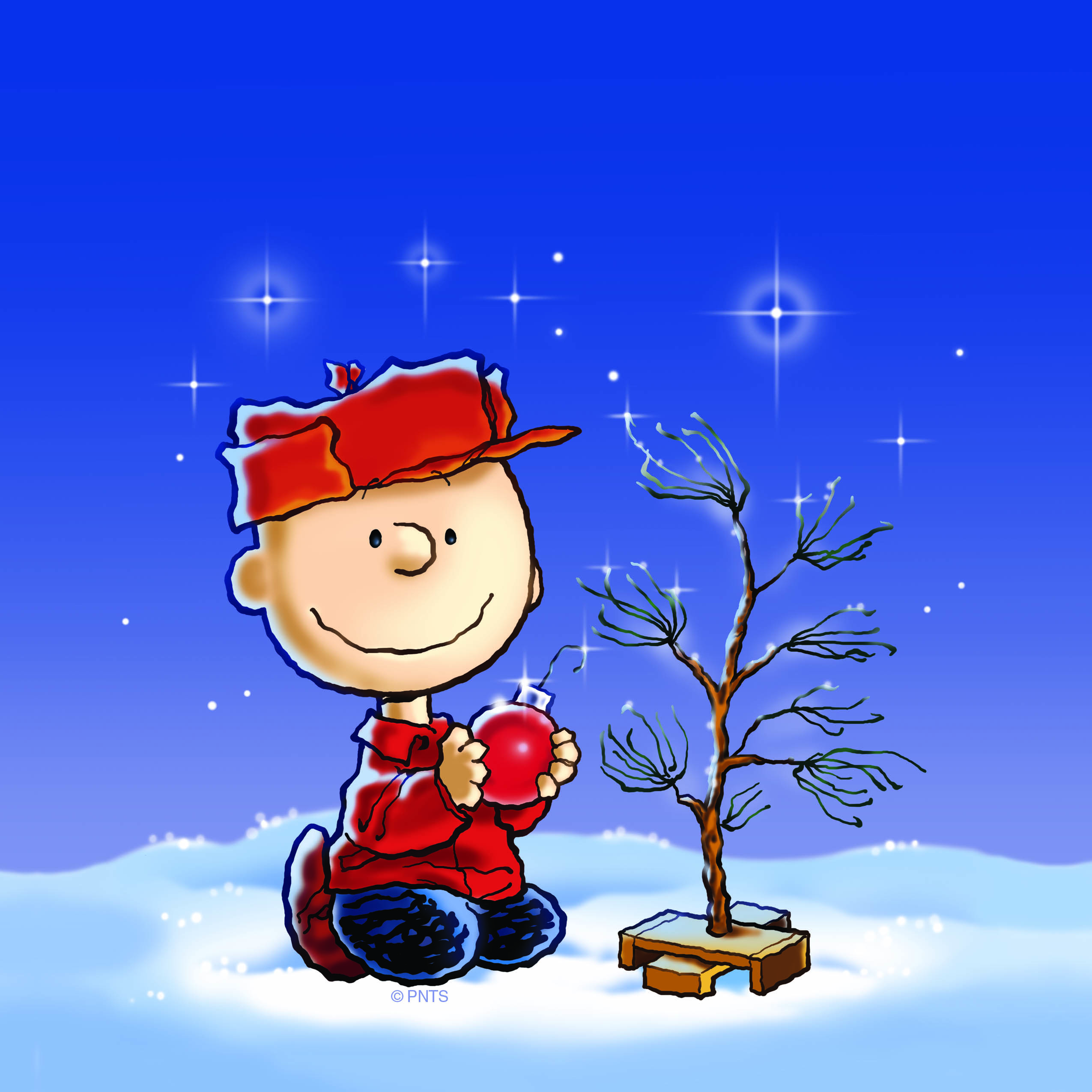 Images of A Charlie Brown Christmas | 2550x2550