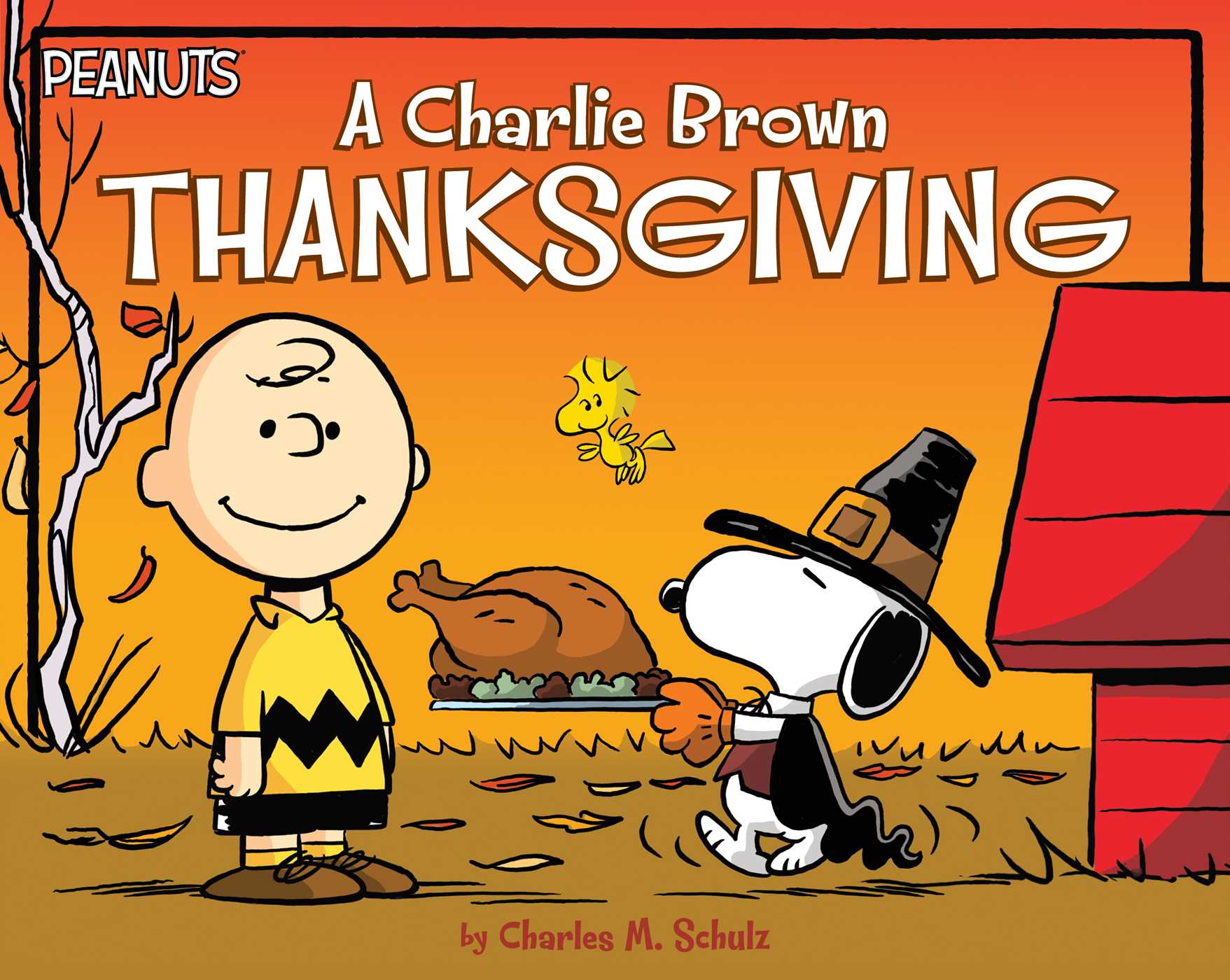 Amazing A Charlie Brown Thanksgiving Pictures & Backgrounds