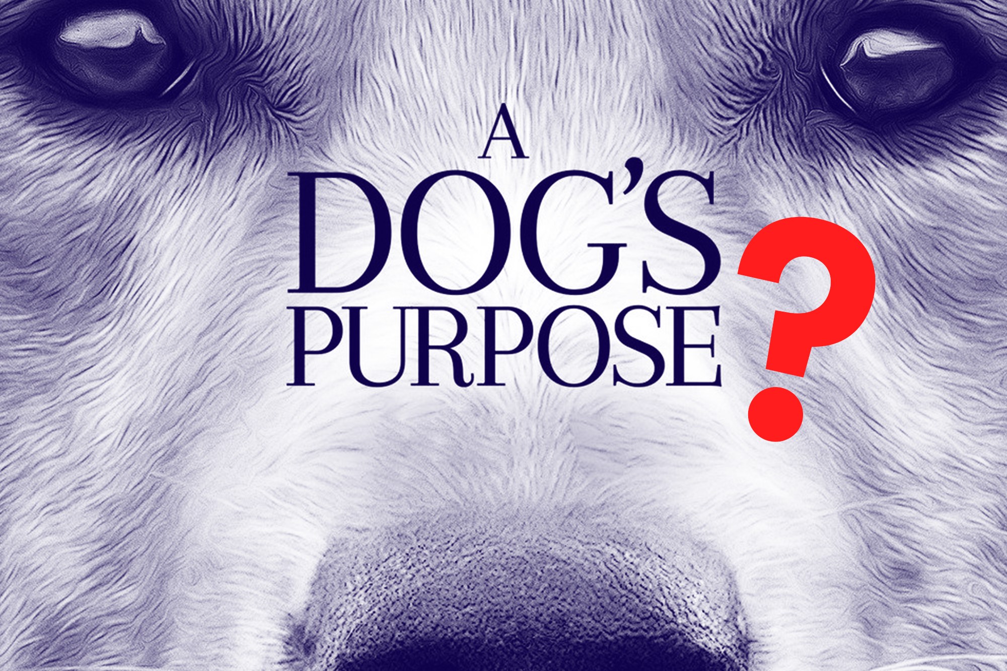 A Dog's Purpose High Quality Background on Wallpapers Vista