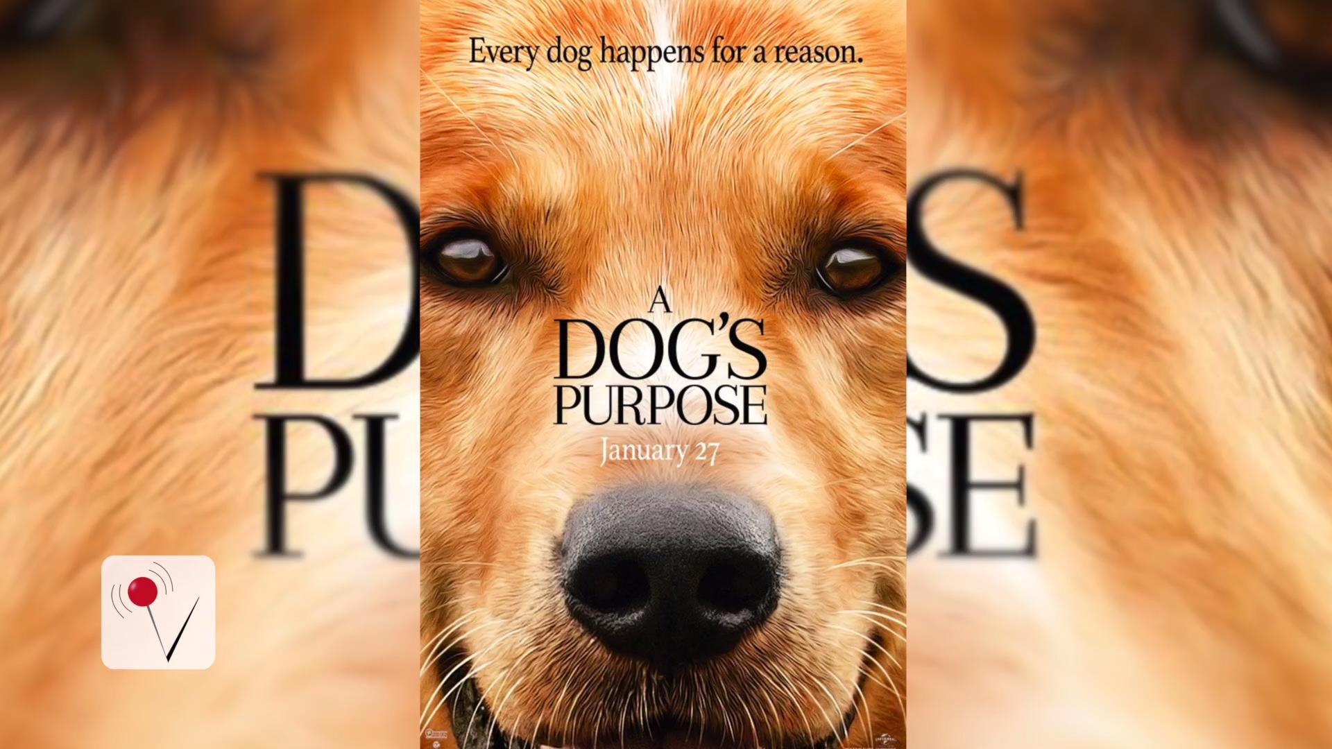 Nice wallpapers A Dog's Purpose 1920x1080px