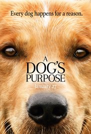 HQ A Dog's Purpose Wallpapers | File 17.64Kb