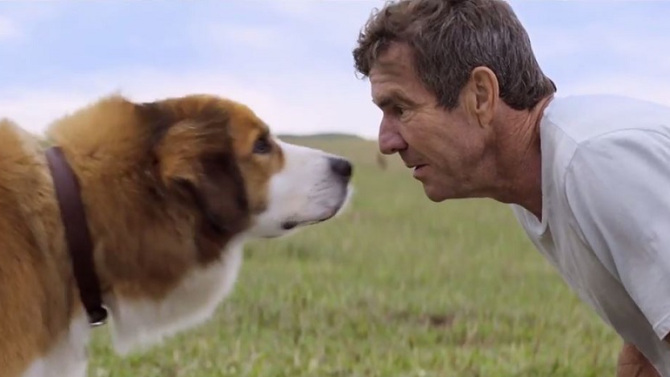 A Dog's Purpose Backgrounds on Wallpapers Vista
