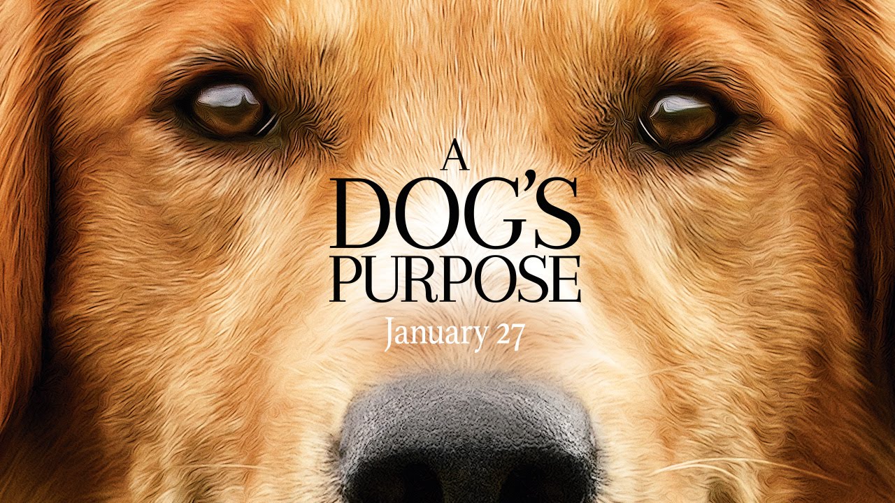 A Dog's Purpose Pics, Movie Collection
