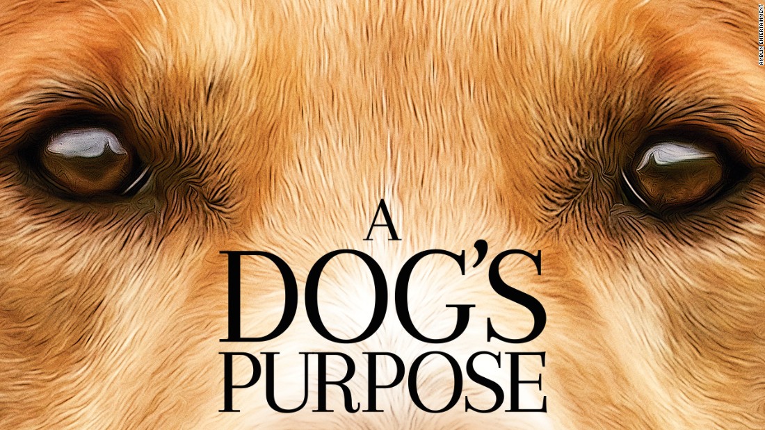 A Dog's Purpose #25