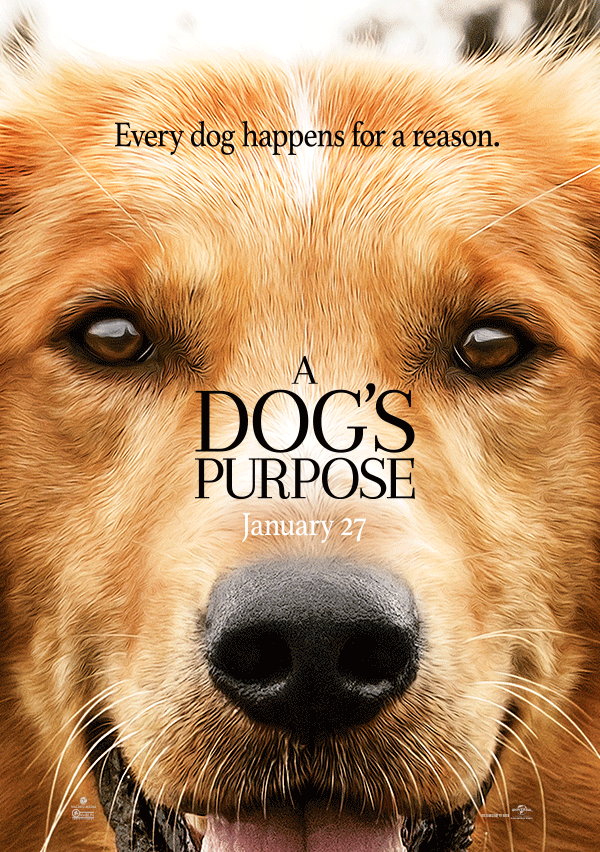 Nice wallpapers A Dog's Purpose 600x852px