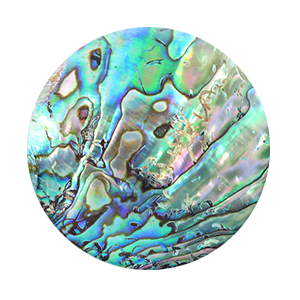 Abalone Backgrounds, Compatible - PC, Mobile, Gadgets| 300x300 px