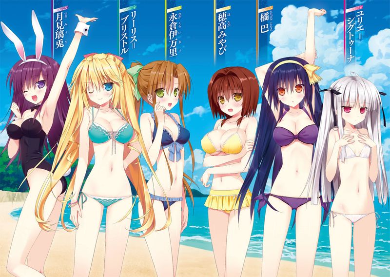 HD Quality Wallpaper | Collection: Anime, 800x568 Absolute Duo
