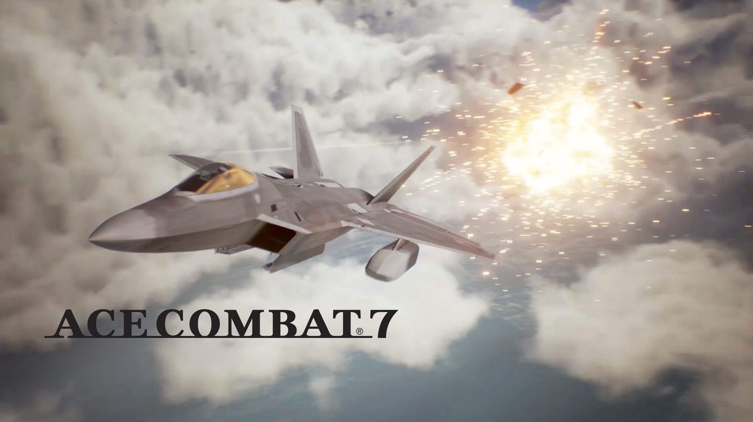 Nice wallpapers Ace Combat 2560x1436px