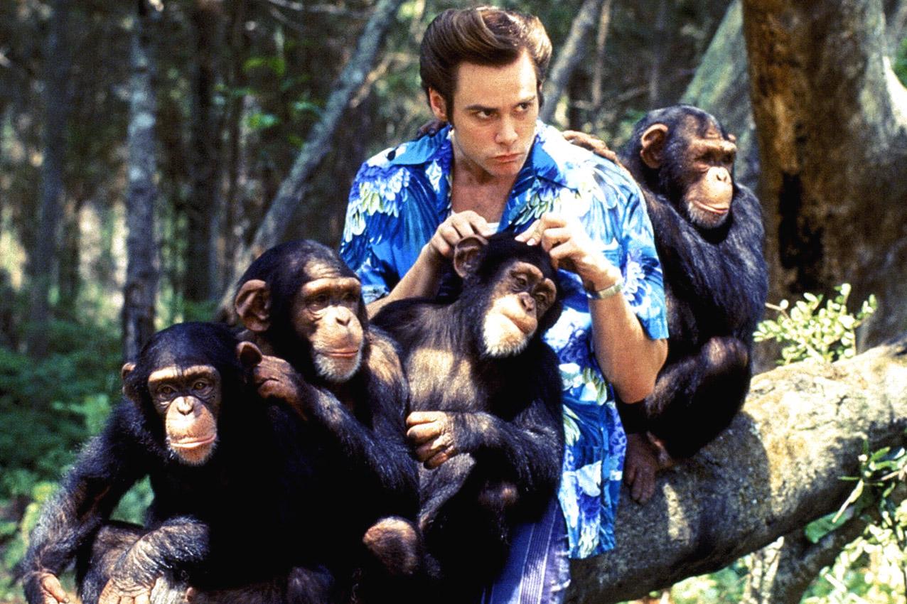 Amazing Ace Ventura: When Nature Calls Pictures & Backgrounds