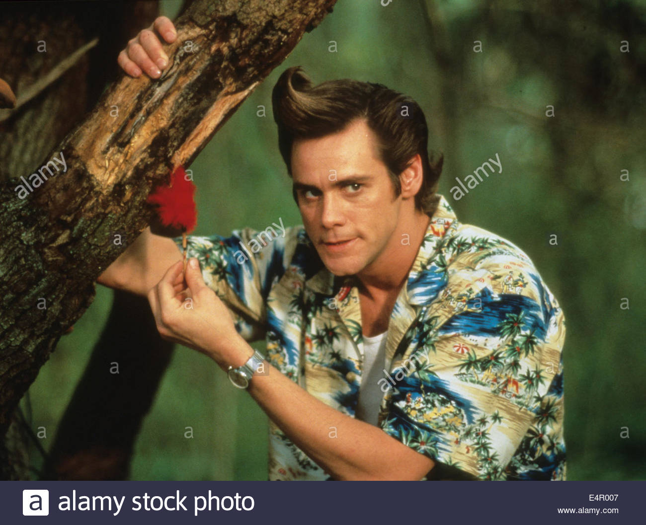 HQ Ace Ventura: When Nature Calls Wallpapers | File 171.46Kb