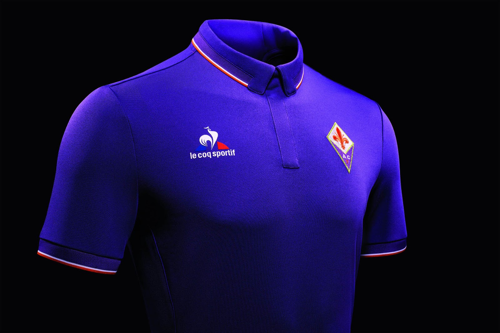 Nice wallpapers ACF Fiorentina 1600x1067px