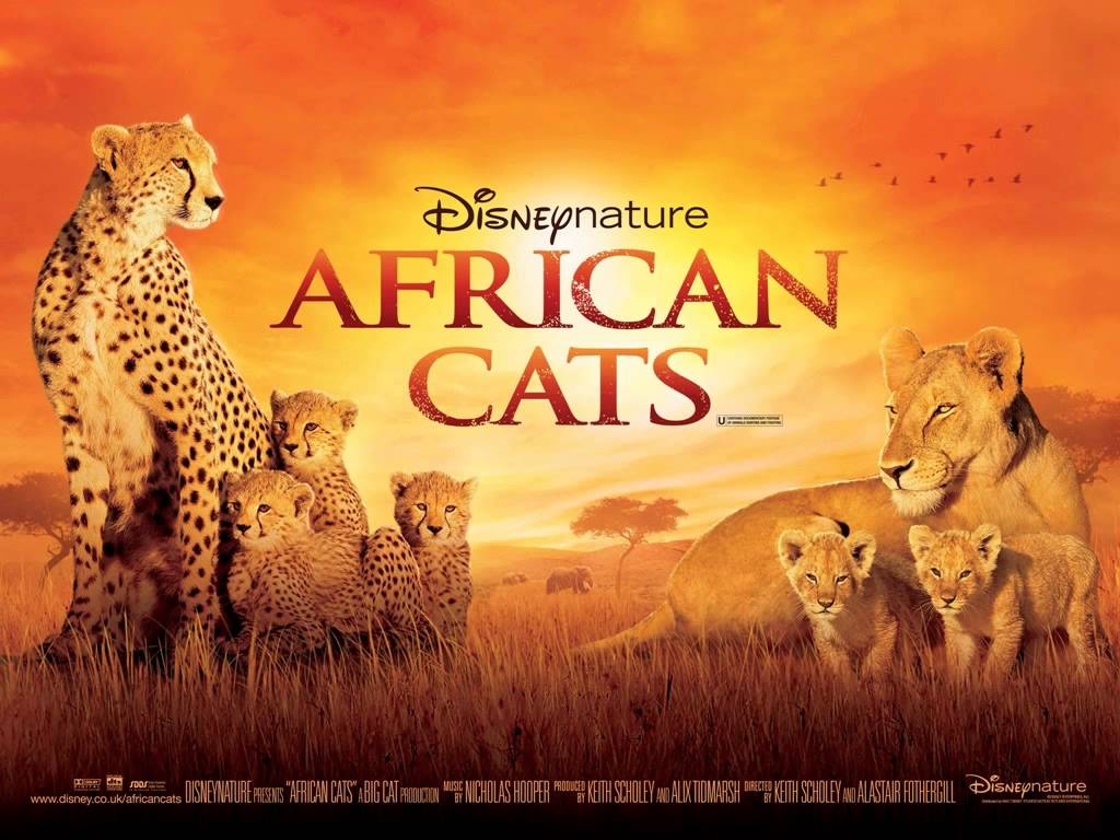 African Cats #3