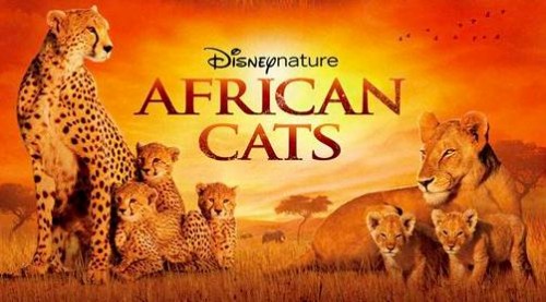 African Cats #16