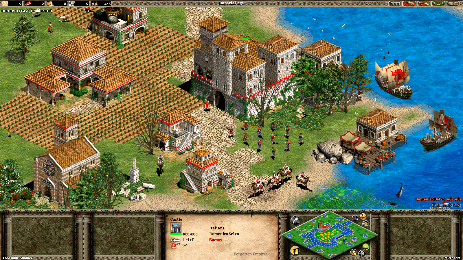 Amazing Age Of Empires II: The Forgotten Pictures & Backgrounds