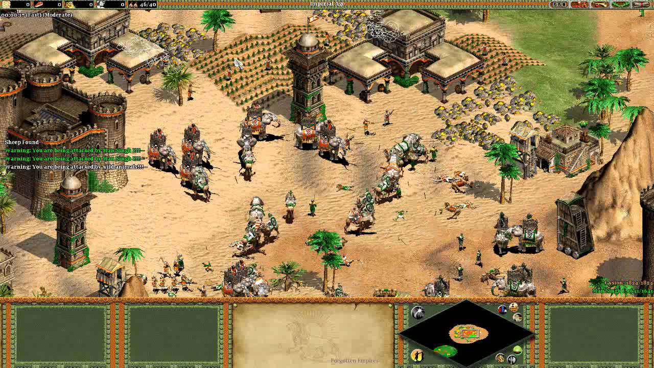 Nice Images Collection: Age Of Empires II: The Forgotten Desktop Wallpapers
