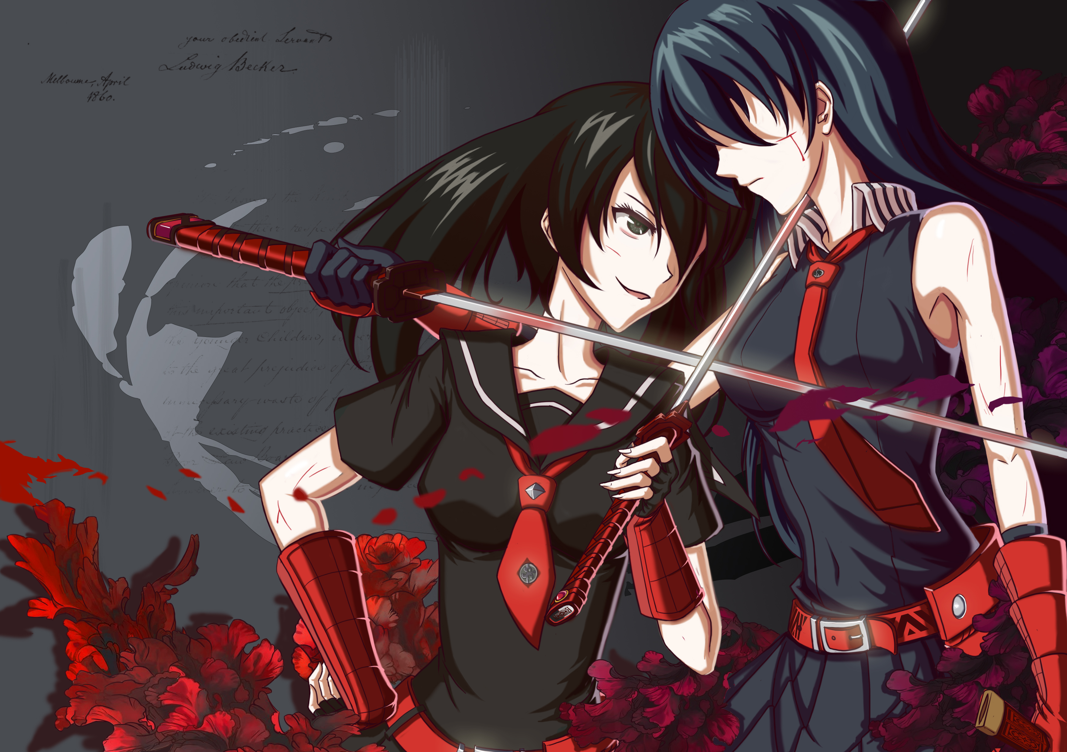 Akame Ga Kill! Backgrounds, Compatible - PC, Mobile, Gadgets| 3517x2480 px