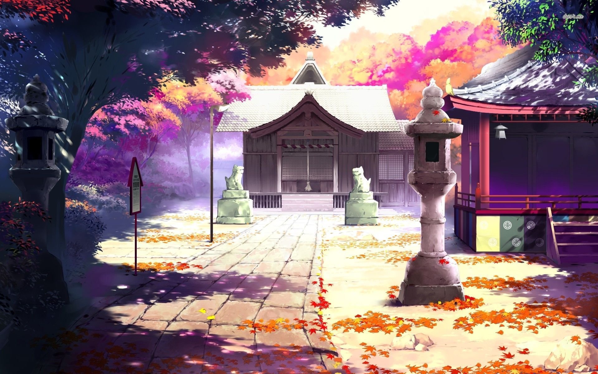 Amazing Akizora Ni Mau Confetti Pictures & Backgrounds