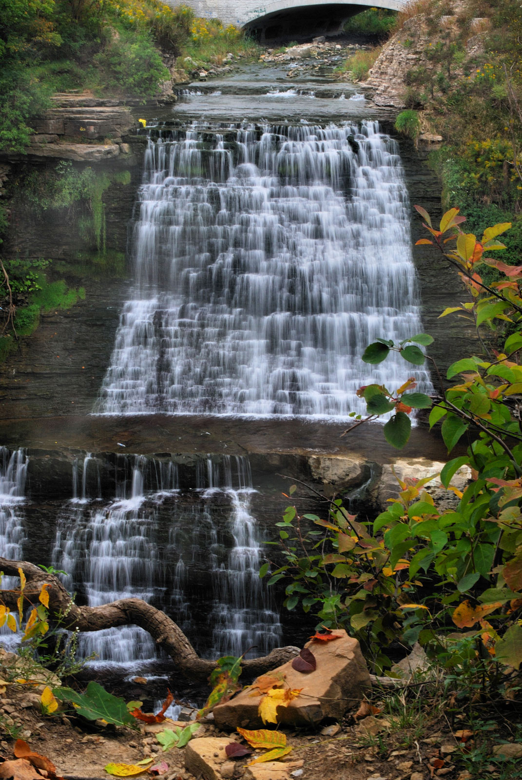 Nice wallpapers Albion Falls 1071x1600px