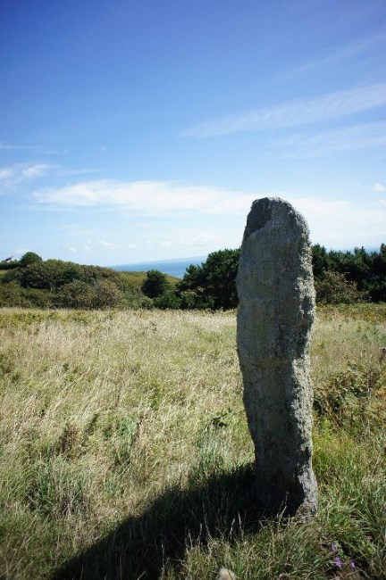 Alderney Stone Pics, Man Made Collection