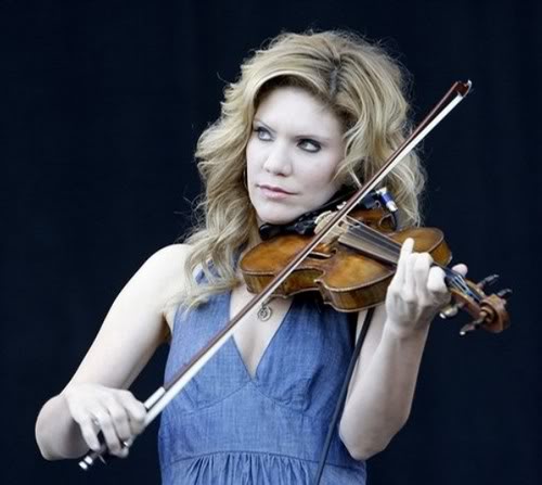 HD Quality Wallpaper | Collection: Music, 500x447 Alison Krauss