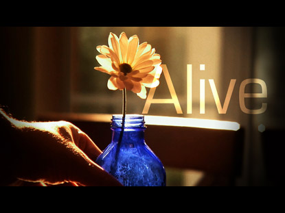Alive #13