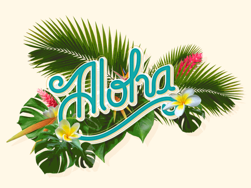 Aloha Backgrounds, Compatible - PC, Mobile, Gadgets| 800x600 px