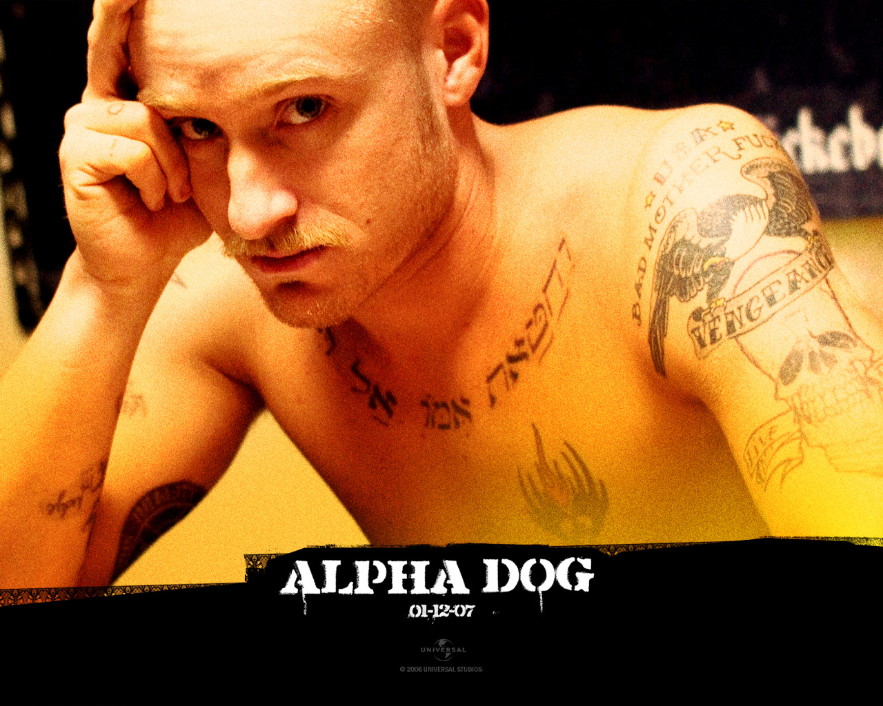 Amazing Alpha Dog Pictures & Backgrounds