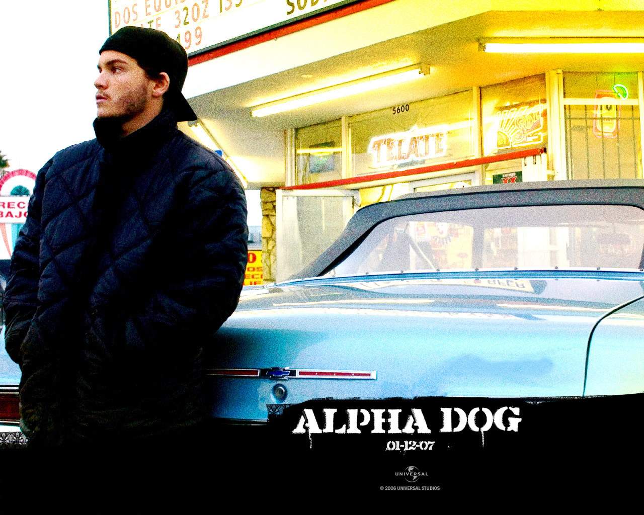 Nice Images Collection: Alpha Dog Desktop Wallpapers